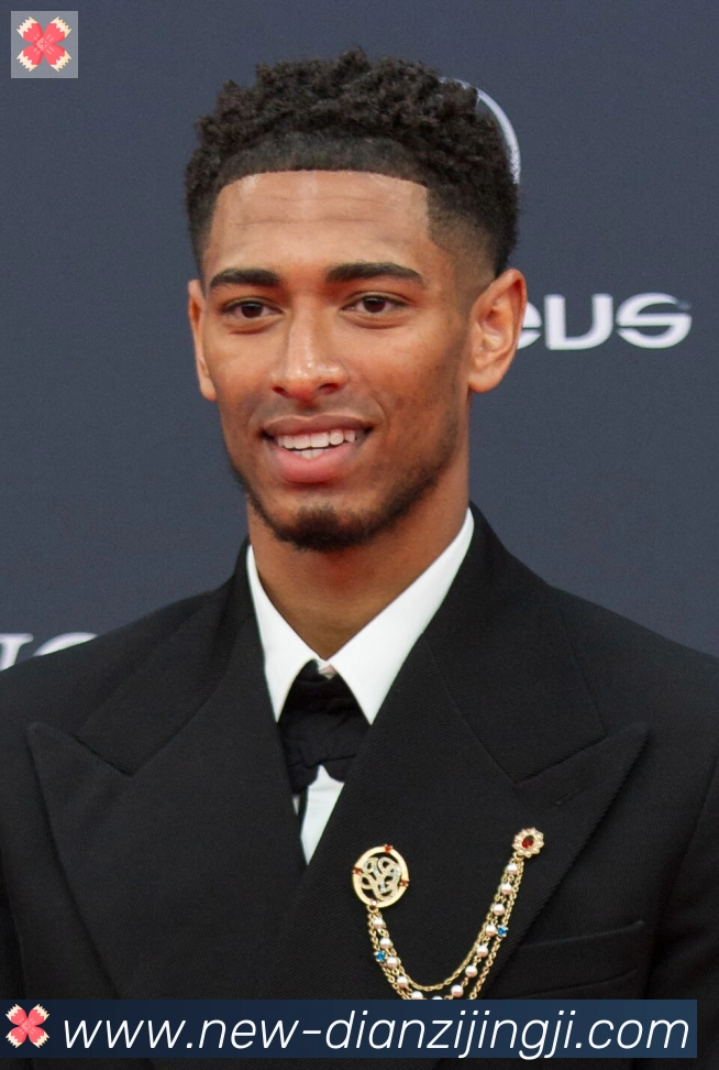 维尼修斯